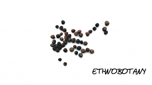 Colchicum autumnale — изображение 2