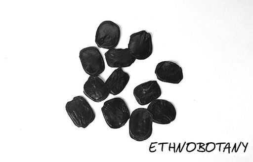 Anadenanthera peregrina — изображение 2