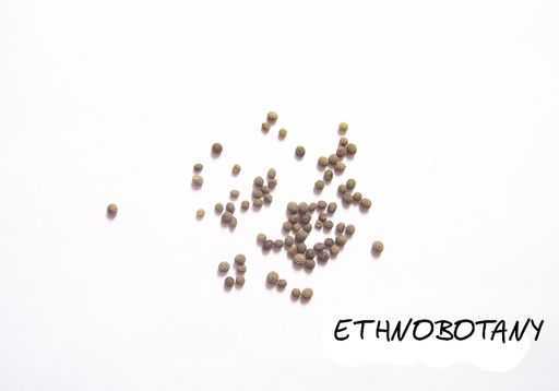 Eschscholzia californica — изображение 2