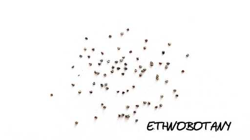 Hyoscyamus pusillus — изображение 2